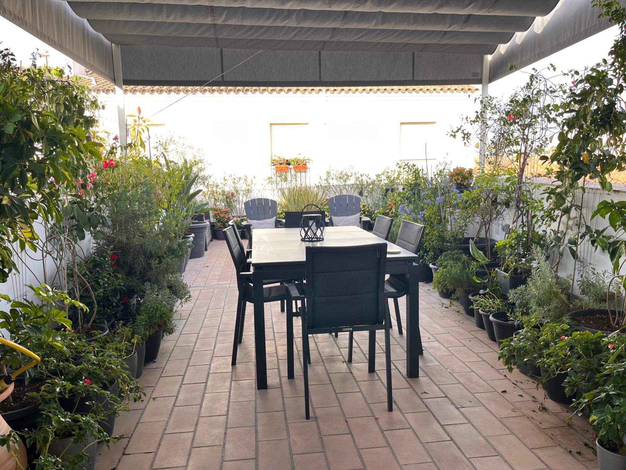 Casa Nuna Modern Loft With Private Garden Terrace Appartement Jerez de la Frontera
